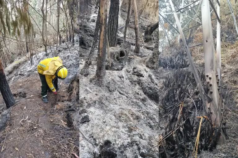 Alerta Ambiental En Bogot Por Mala Calidad Del Aire Agenciapi Co