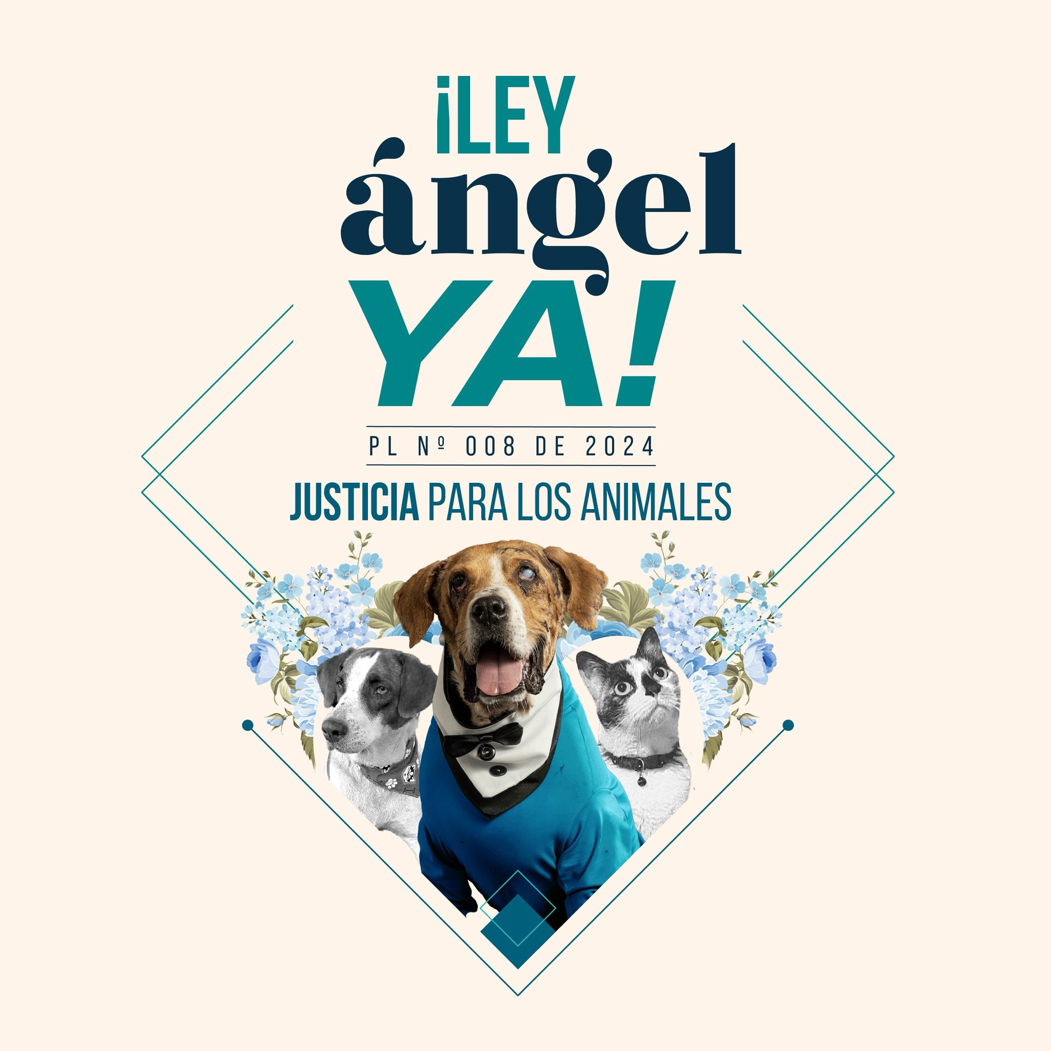 LEY ANGEL 2