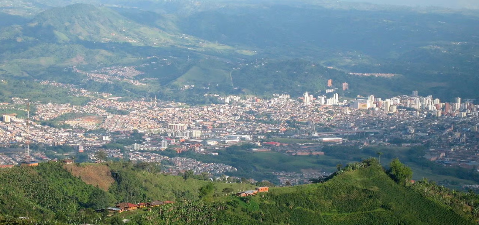 Pereira