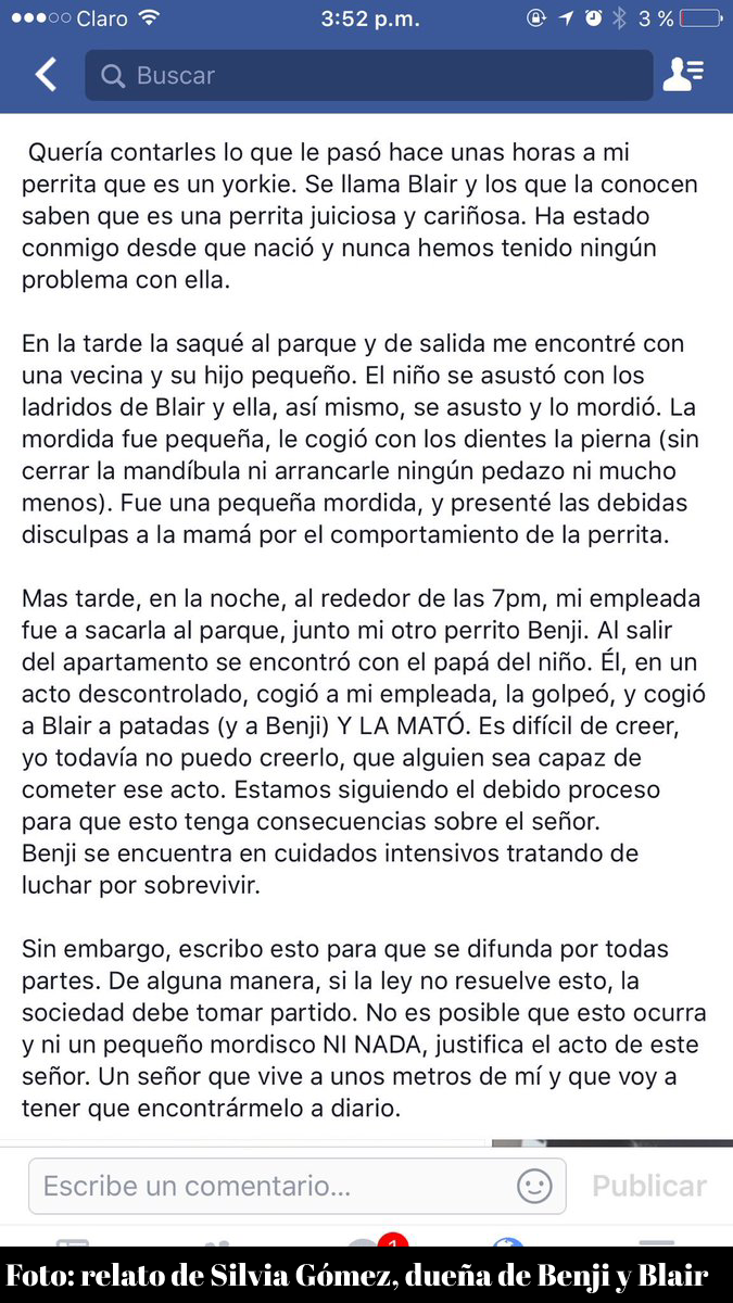 Relato de la dueña de Blair el perro que mataron a goles