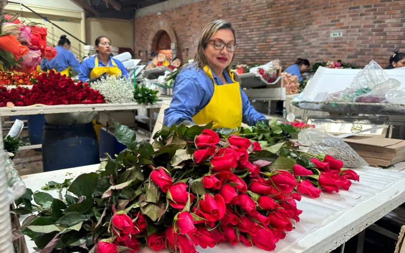 cultivo de flores 25