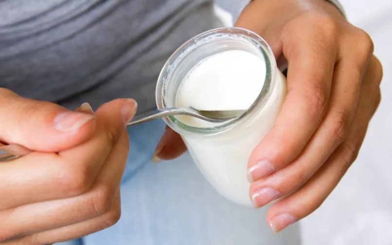 Yogur imagen de referencia