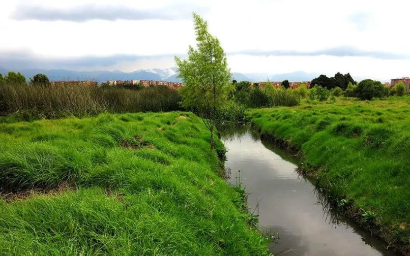 Humedales de Bogotá