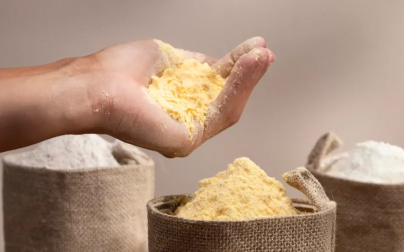 Harina de maíz amarillo