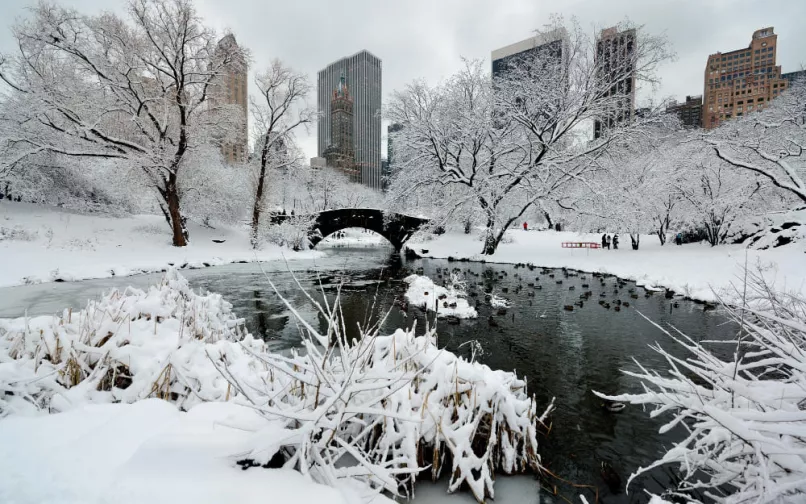 Ola invernal en Estados Unidos