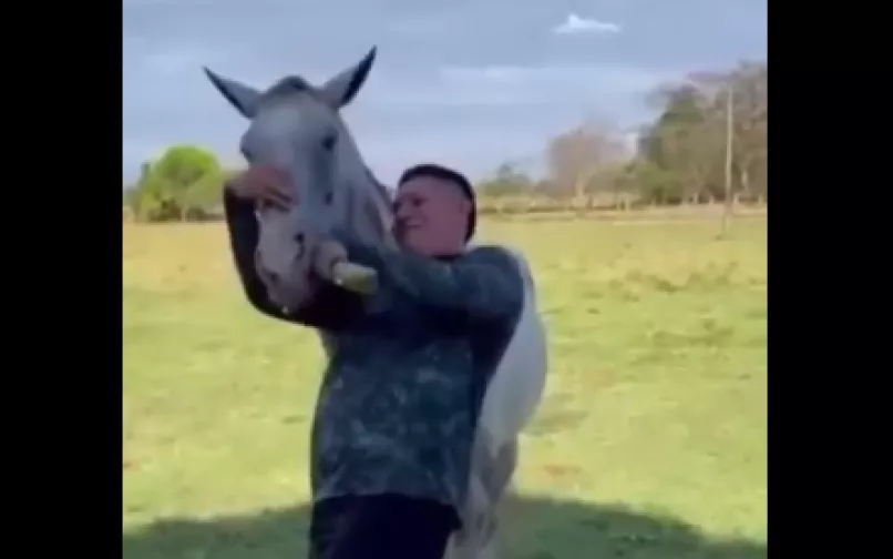 Nuevo caso de maltrato animal en Aguazul, Casanare