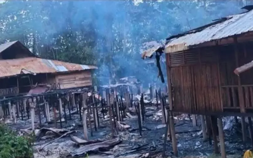 Incendio en Amazonas