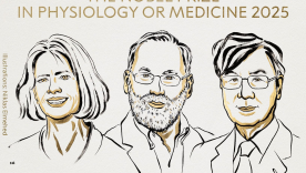 Mary E. Brunkow, Fred Ramsdell and Shimon Sakaguchi 