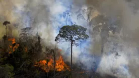 incendios forestales Brasil