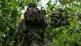 disidencias de las Farc 14 agosto