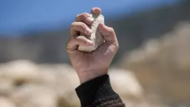 piedra en la mano