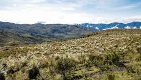 sumapaz 19 sept