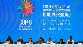 Mesa directiva de la COP16