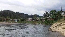 Río Yurumanguí