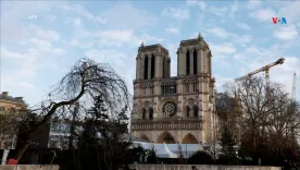 Notre Dame París 2024