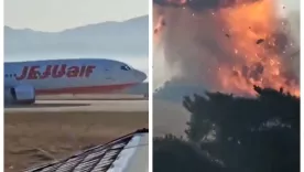 jeju air accidente