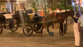 caballos de cocheros en Cartagena