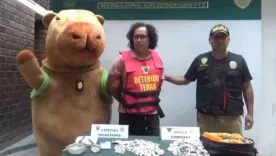 capibara policia peru