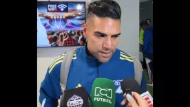 FALCAO IMAGEN 