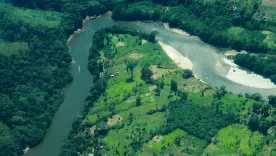 panoramica cultivos coca