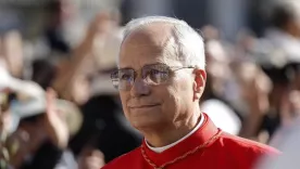 papa robert prevost