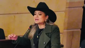 linda-garrido-25