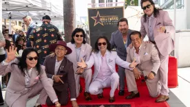 Bukis estrella