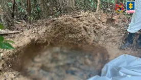 Fosa común Farc