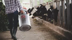 Producción lechera en Colombia