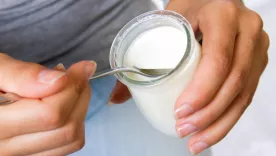 Yogur imagen de referencia