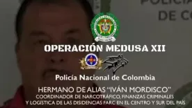 Hermano Mordisco