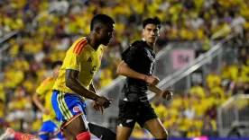 colombia nueva zelanda amistoso