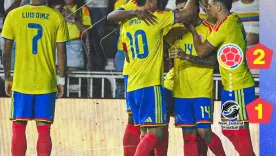 Selección Colombia nov 15
