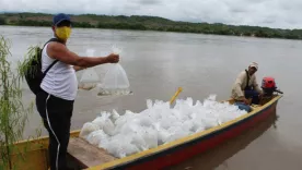 Pescadores y acuicultores en Sincelejo
