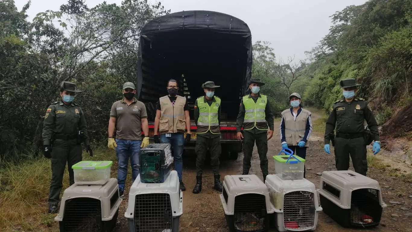 Liberación de animales silvestres