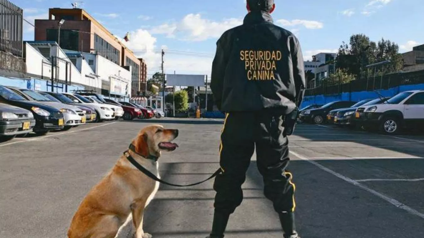 Denuncian encierro de perros usados para seguridad