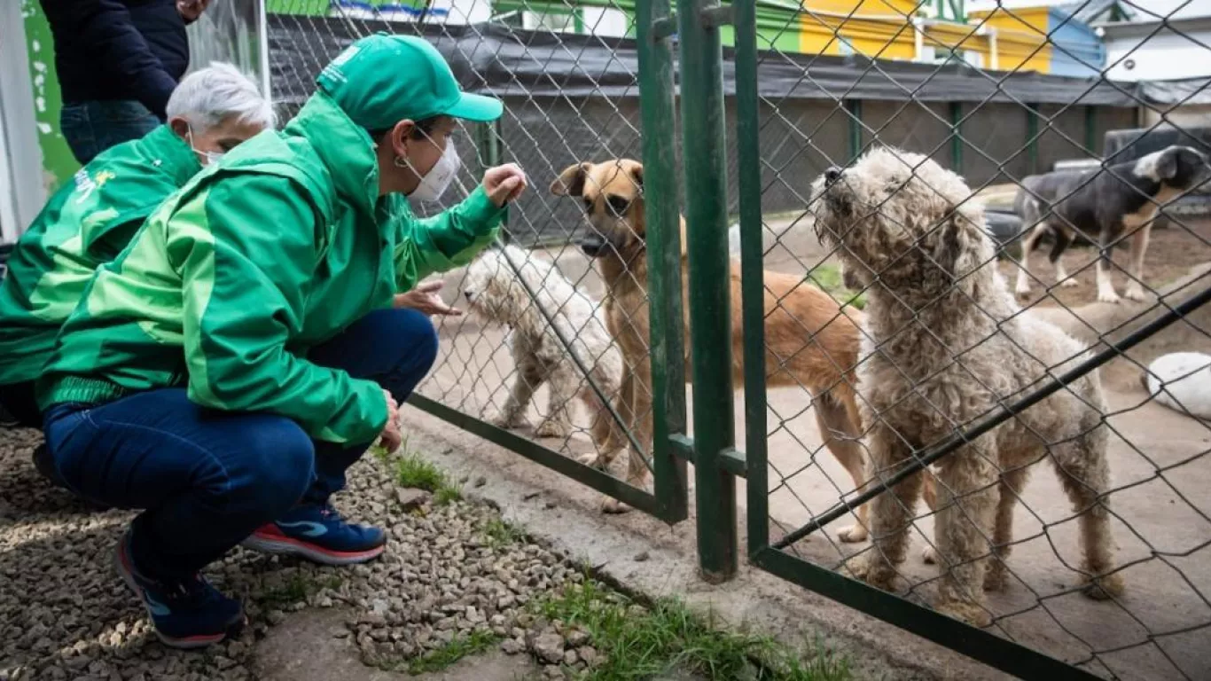 Denuncian maltrato e irregularidades en la Unidad de Cuidado Animal