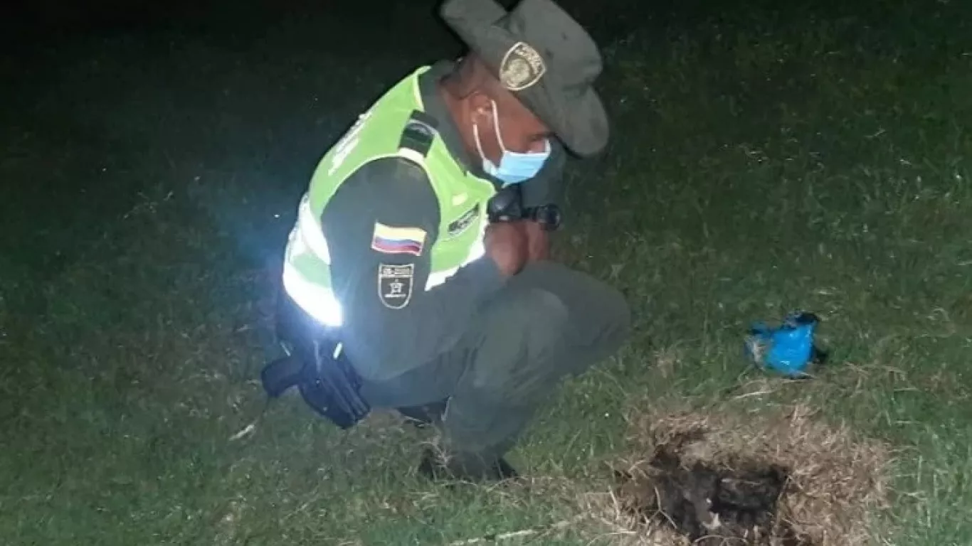 Cachorritos quemados en Córdoba