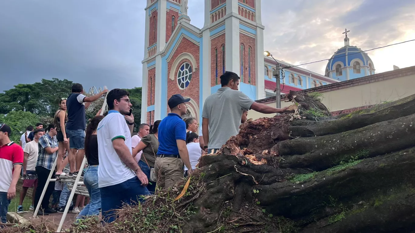 Árbol Restrpo