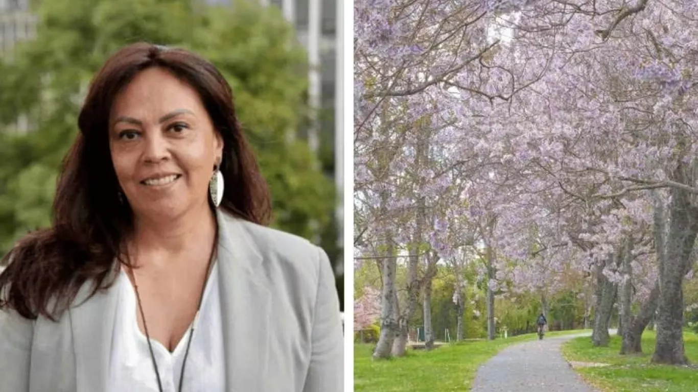 Directora de ministerio de Ambiente 