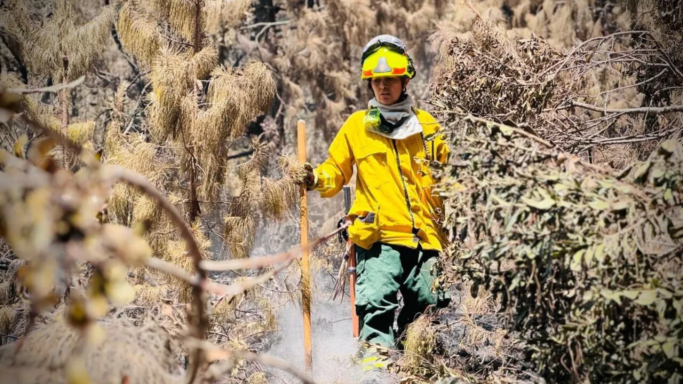 INCENDIOS FORESTALES 27 DE ENERO