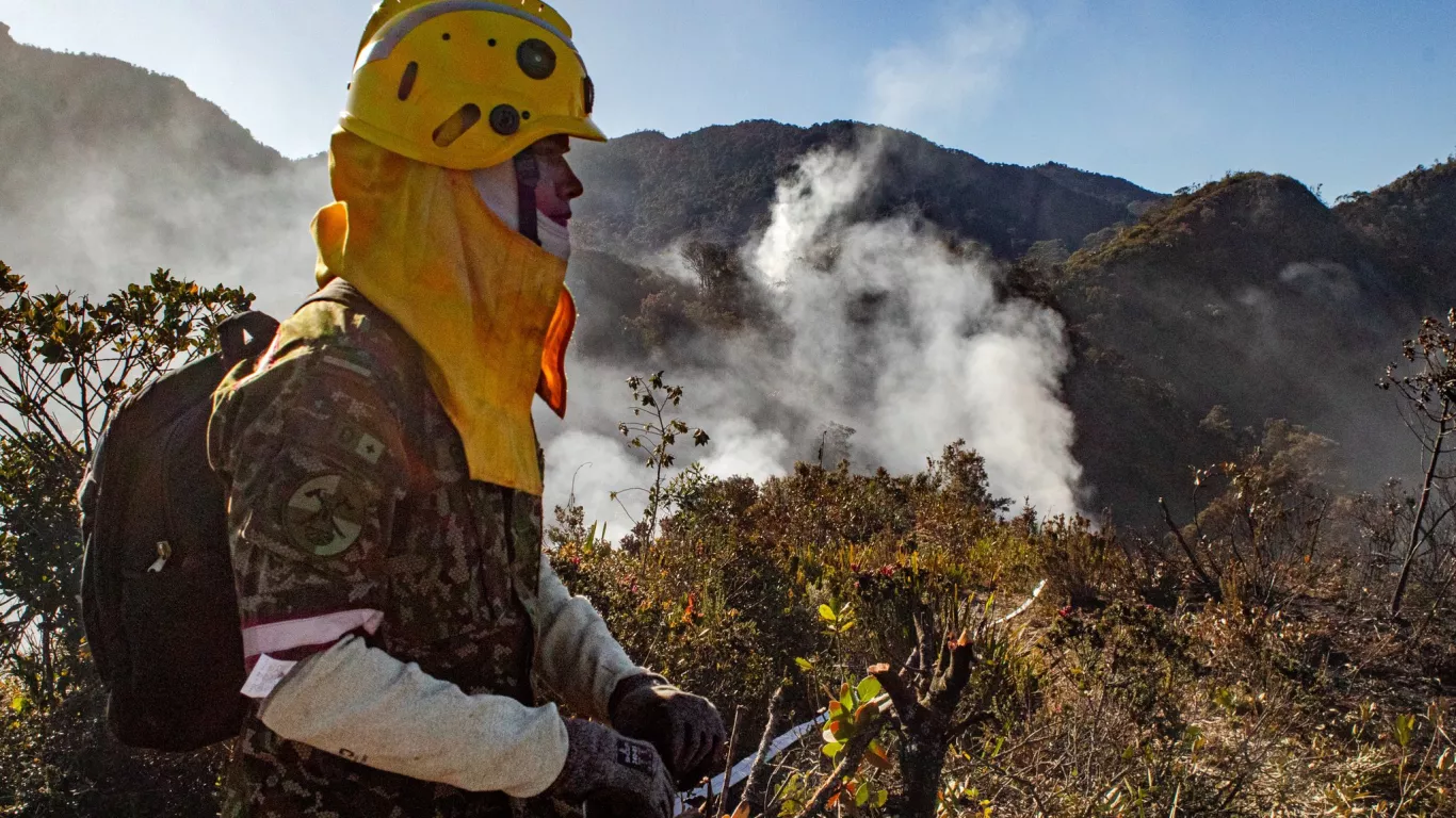 bomberos en bogotá 24 de enero