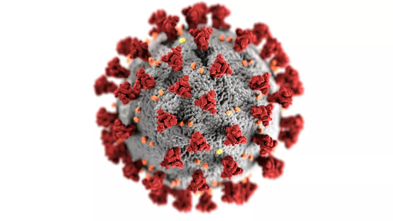 coronavirus 28 marzo