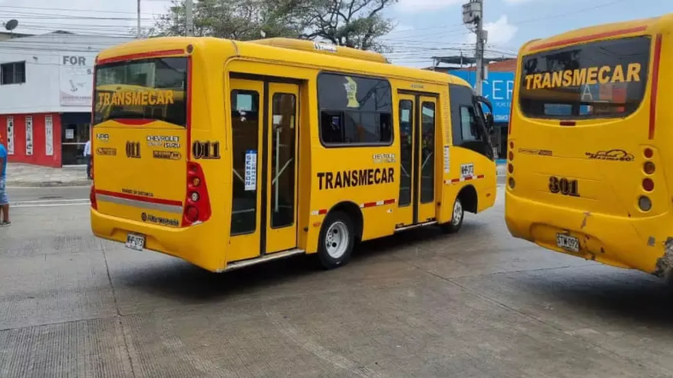 buses transmecar