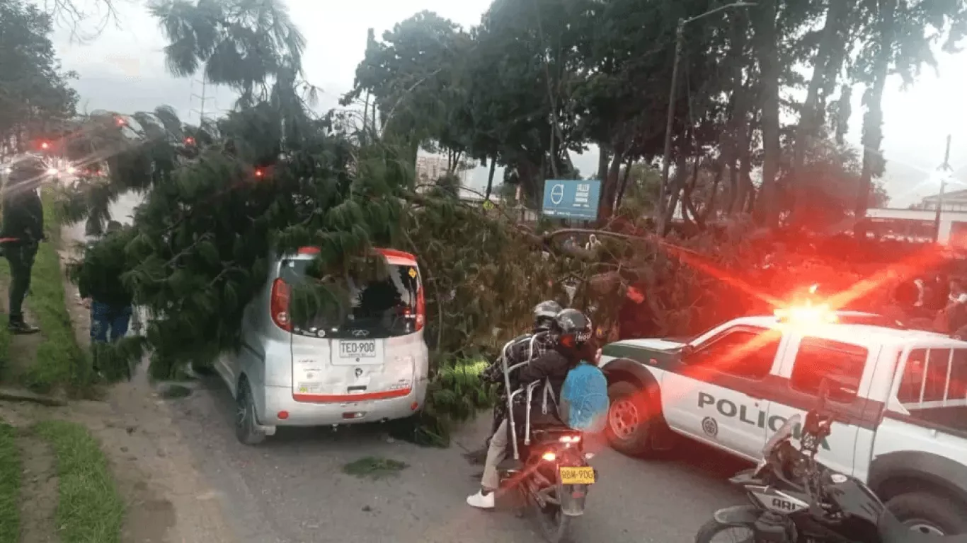 ÁRBOL CAIDO EN BOGOTÁ 29