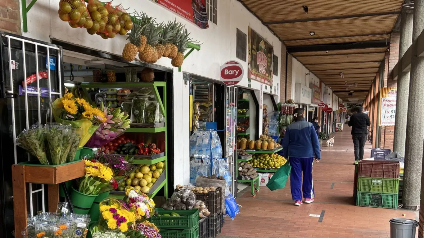 micronegocios en Colombia