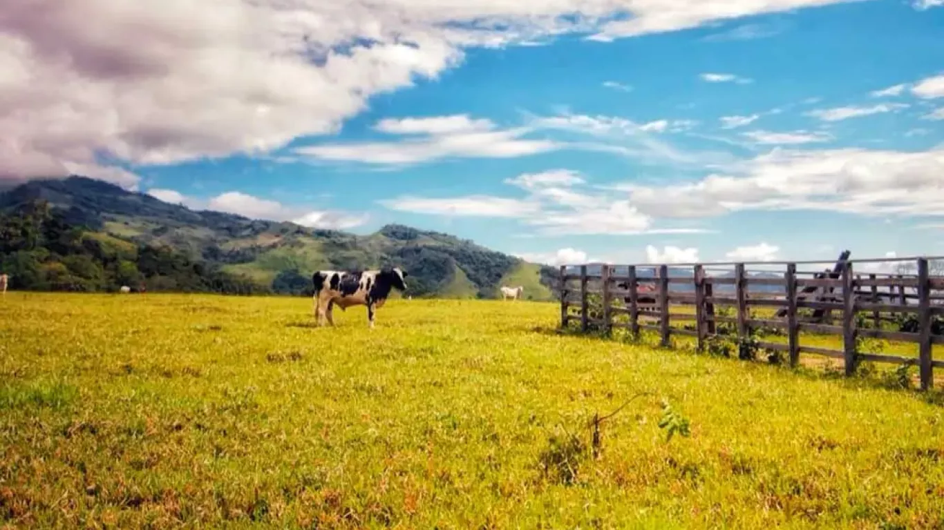 campo colombiano 25