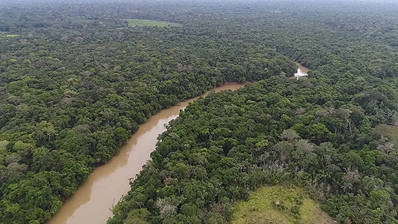 Río Guaviare