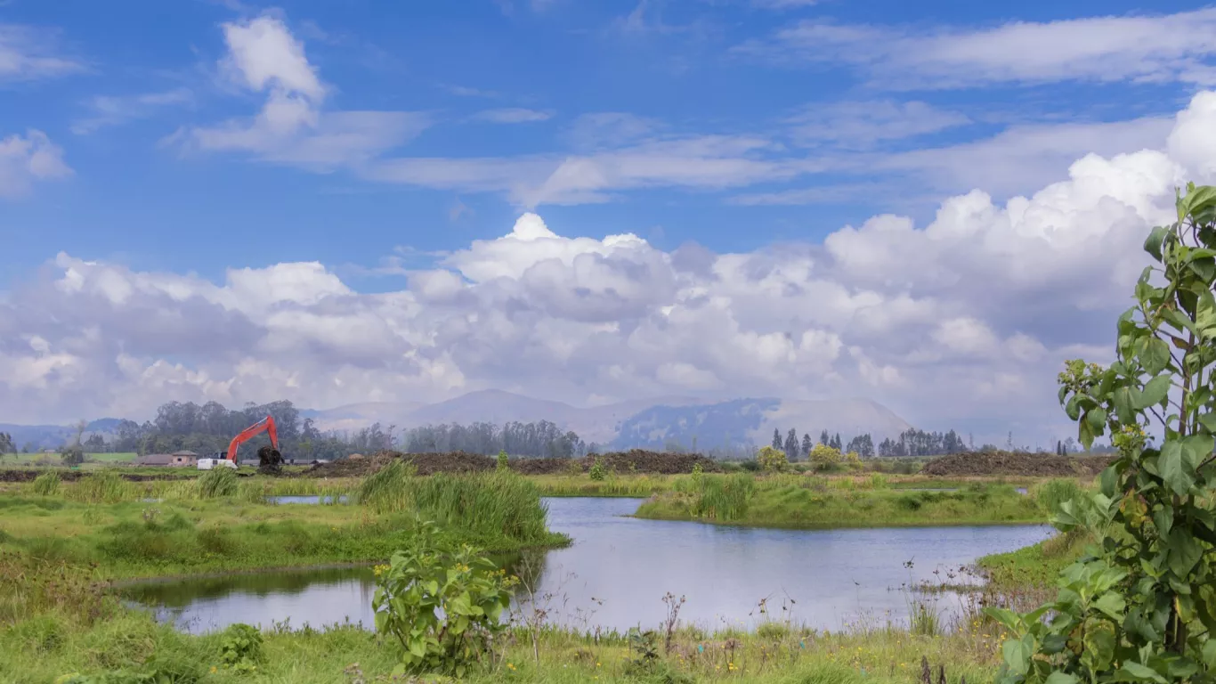 Restauración ecológica del río Bogotá
