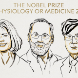 Mary E. Brunkow, Fred Ramsdell and Shimon Sakaguchi 